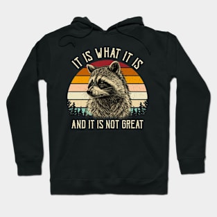 It Is What It Is And It Is Not Great Hoodie